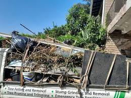 Best Shed Removal  in Farmington, MO